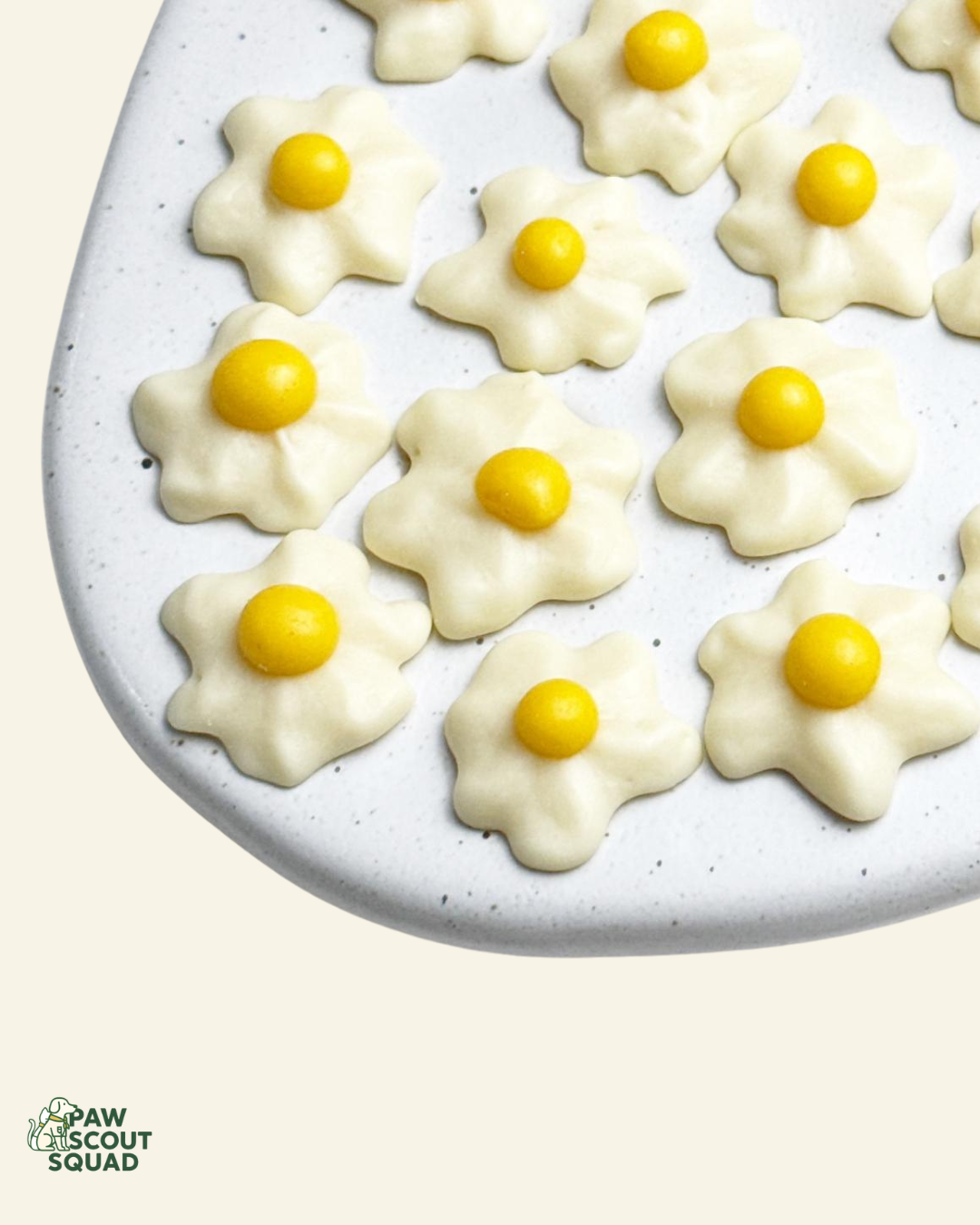 Barkitecture Pet Treats Eggstra Bloom