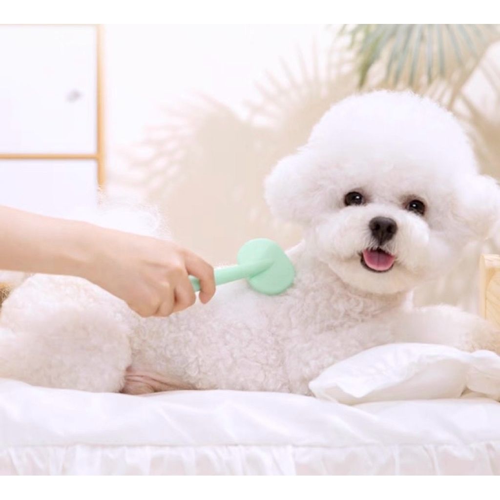 PAWSS Pet Needle Comb