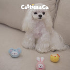 Cotties & Co Animal Party Squeaky Ball Set