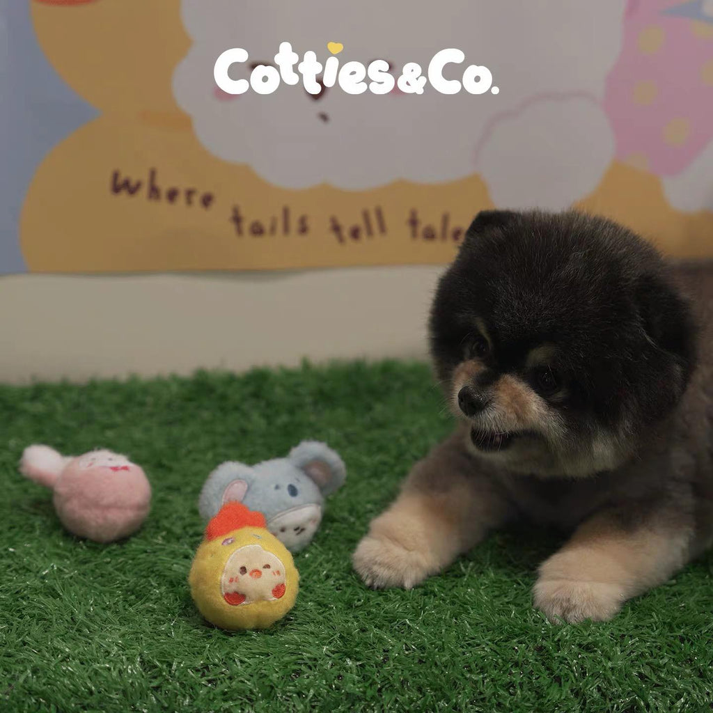 Cotties & Co Animal Party Squeaky Ball Set