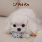 Cotties & Co Animal Party Squeaky Ball Set