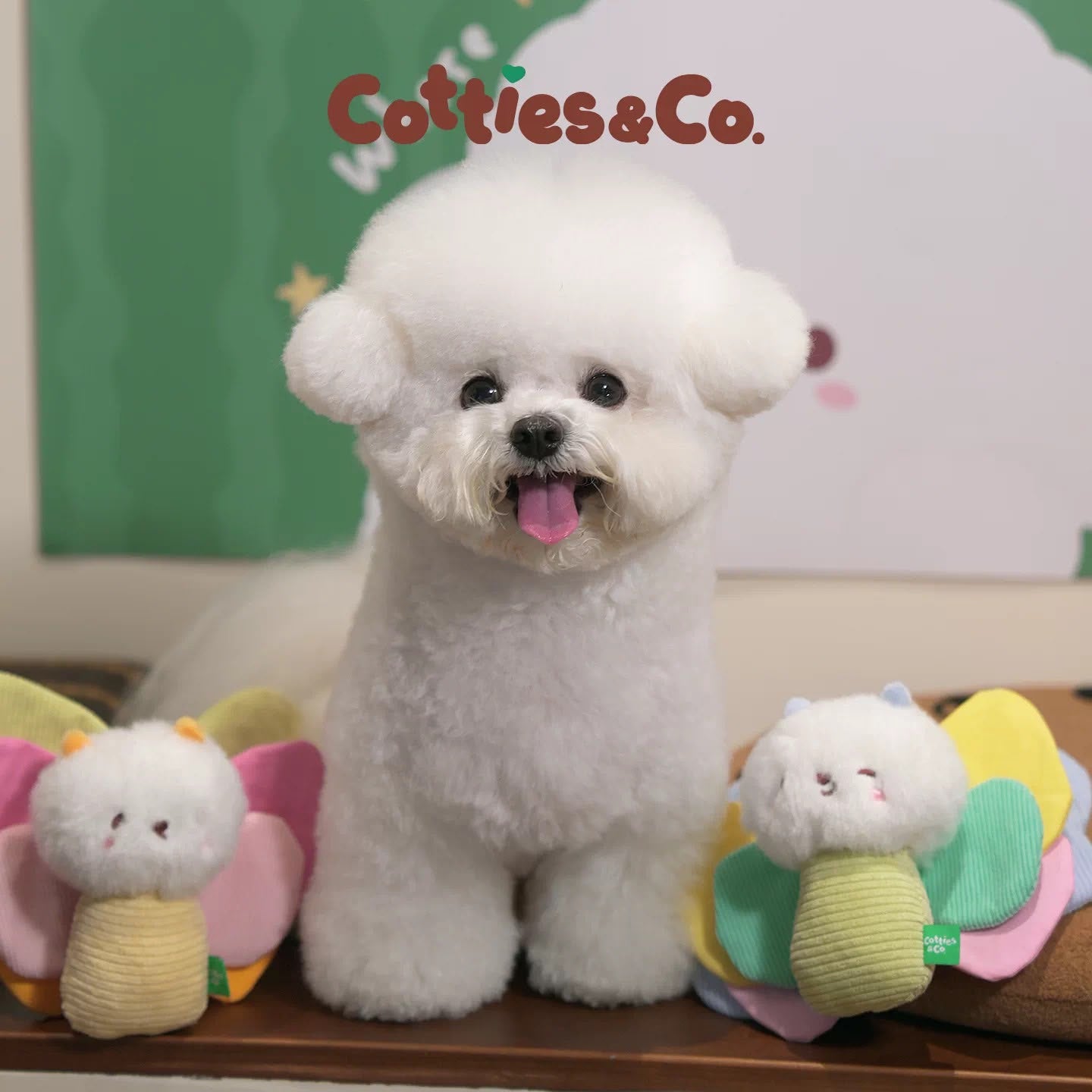 Cotties & Co Butterfly Pup Crinkle & Squeaker Toy
